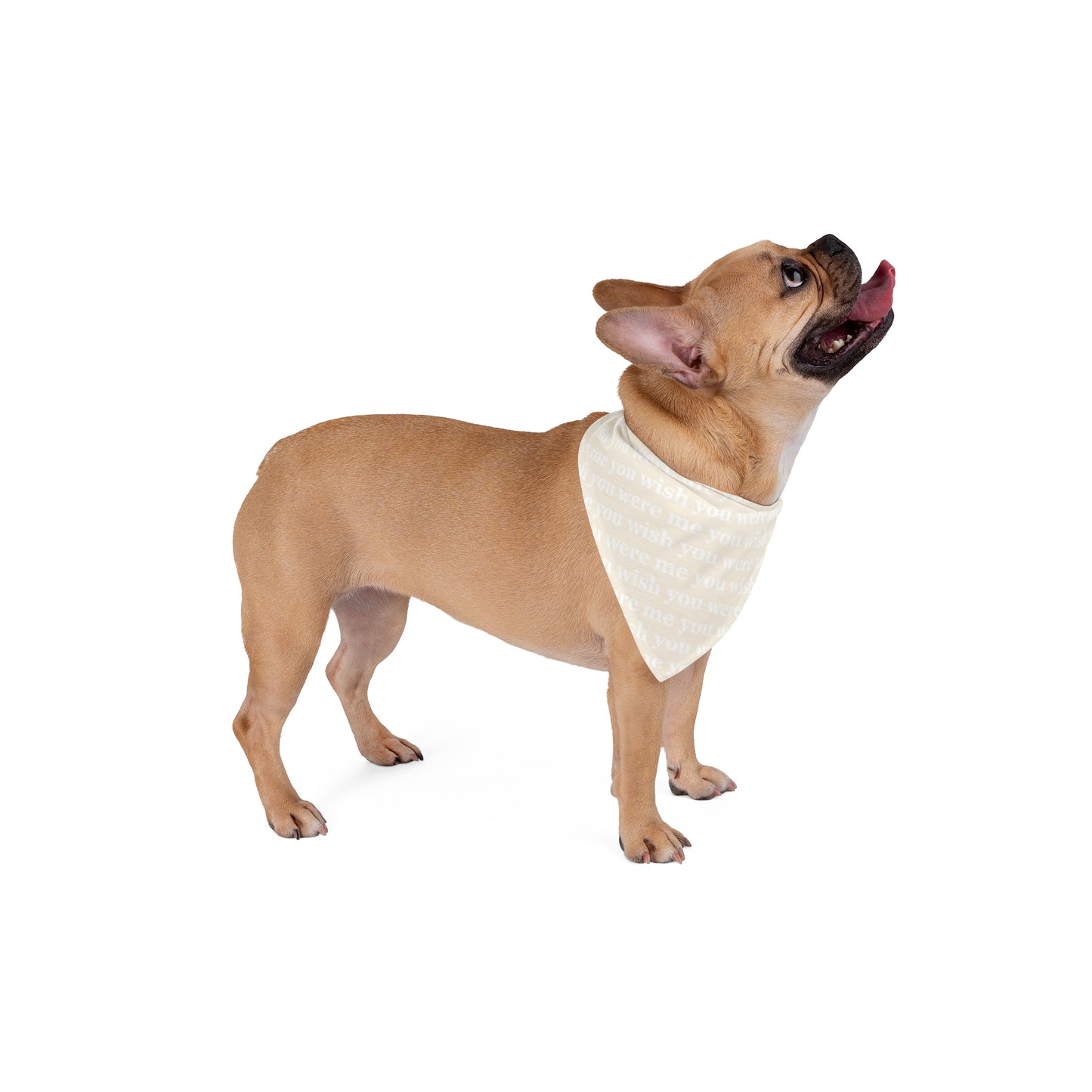 Pet Bandana (Cream)