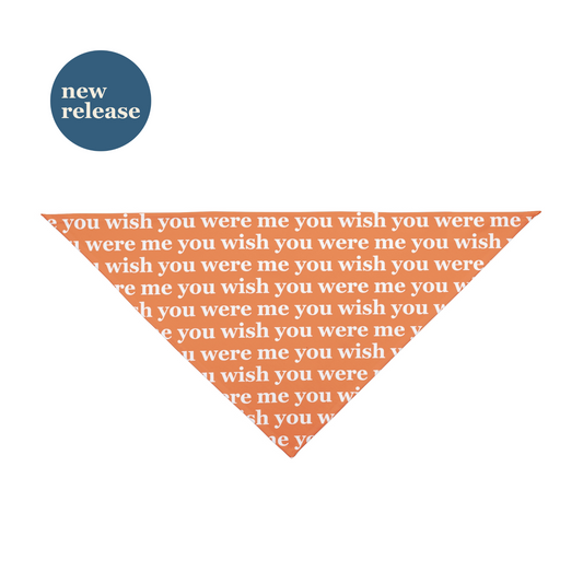 Pet Bandana (Orange)