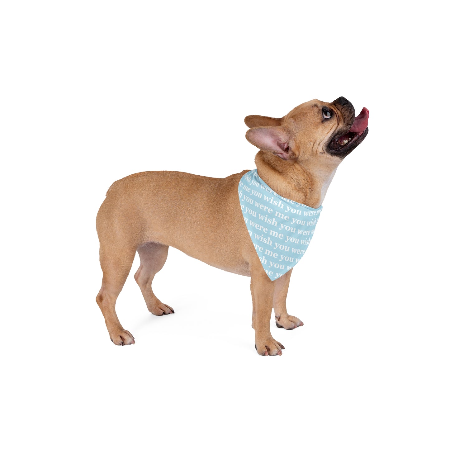 Pet Bandana (Baby Blue)